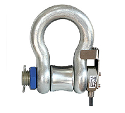 535AHM2 Anyload Load Cell Shackle